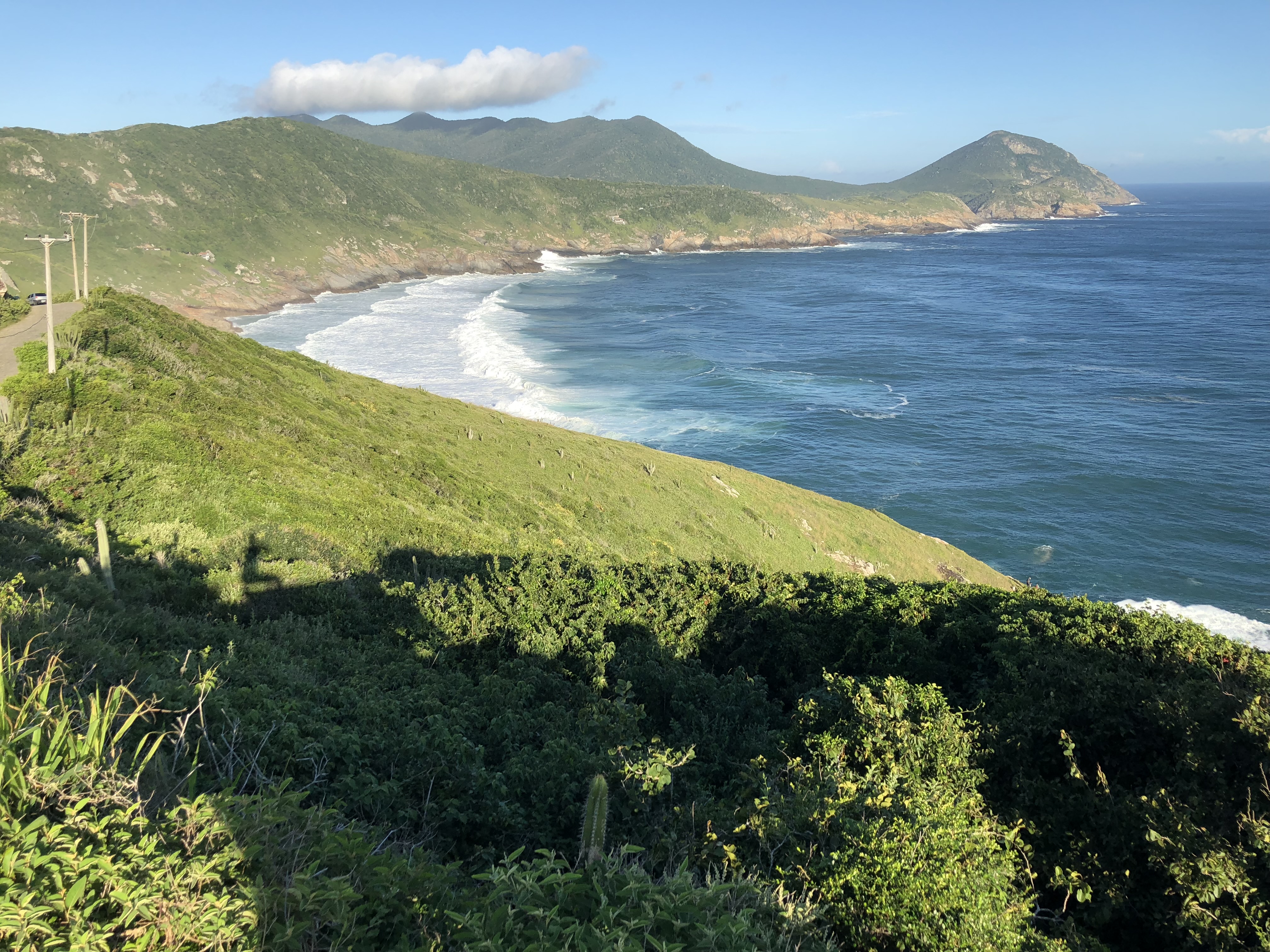 Rocky coastline and surf