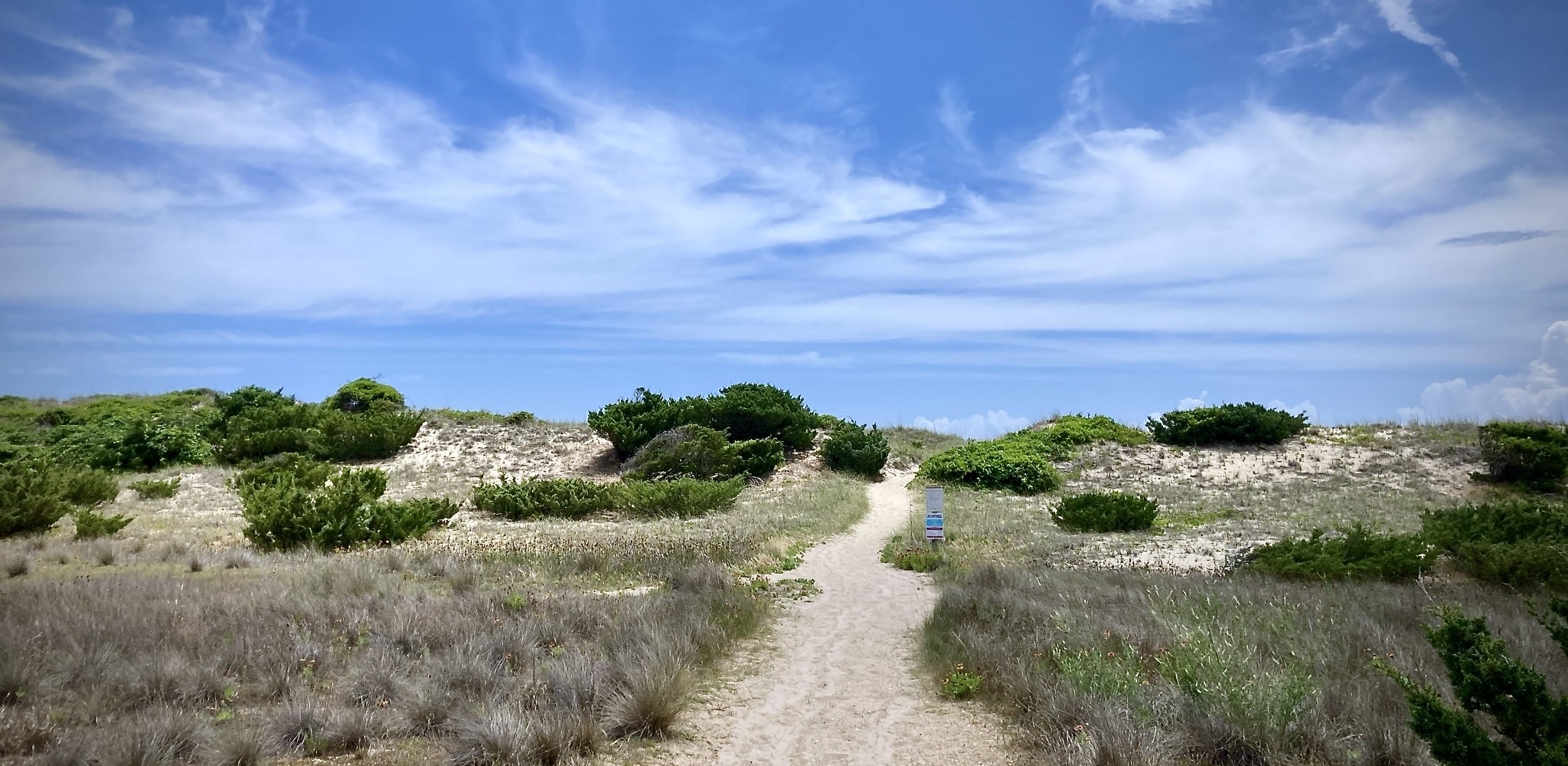 Sandy path winding through dune scrub toward a wide sky
