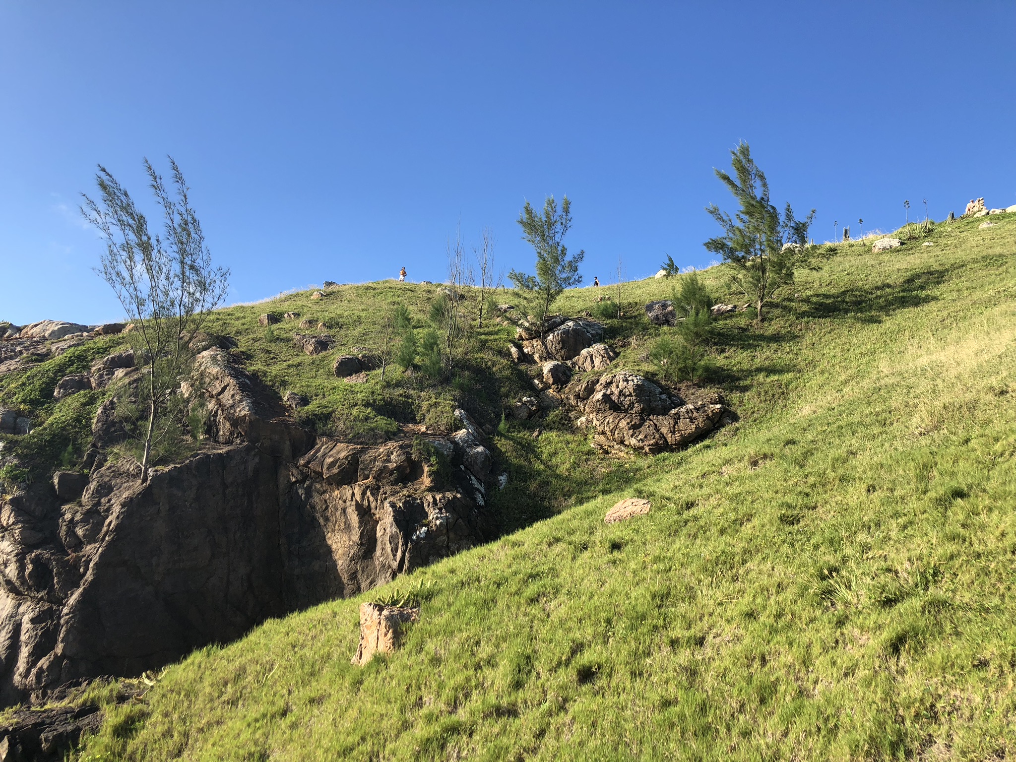 Two hikers cresting a rocky, tree-dotted green hillside overlook