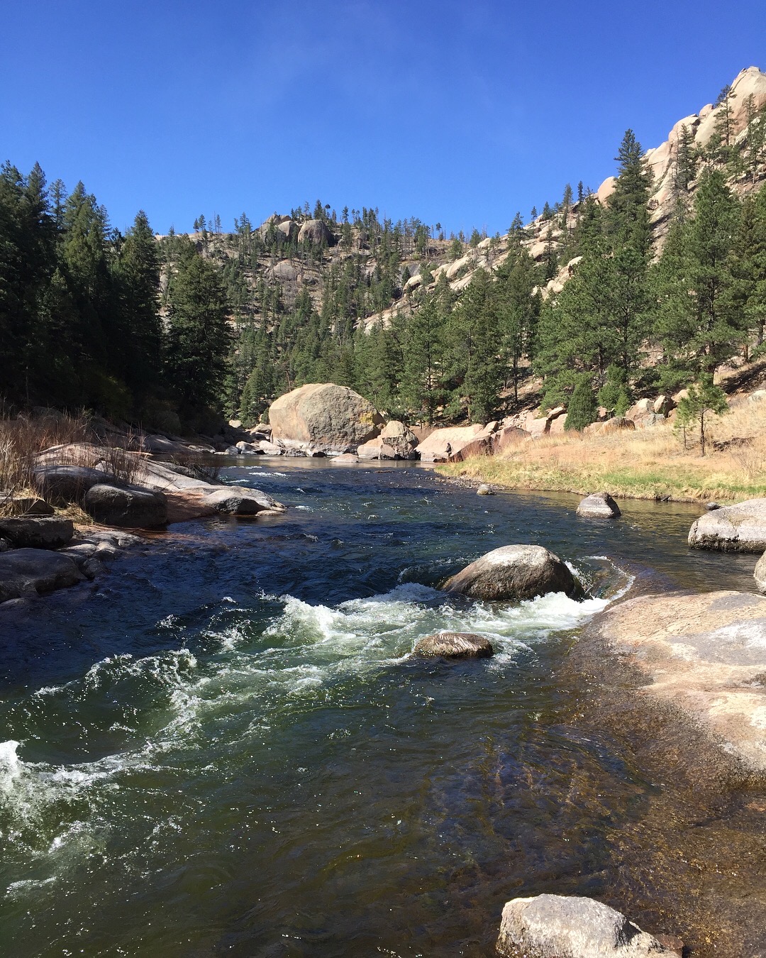 River landscape