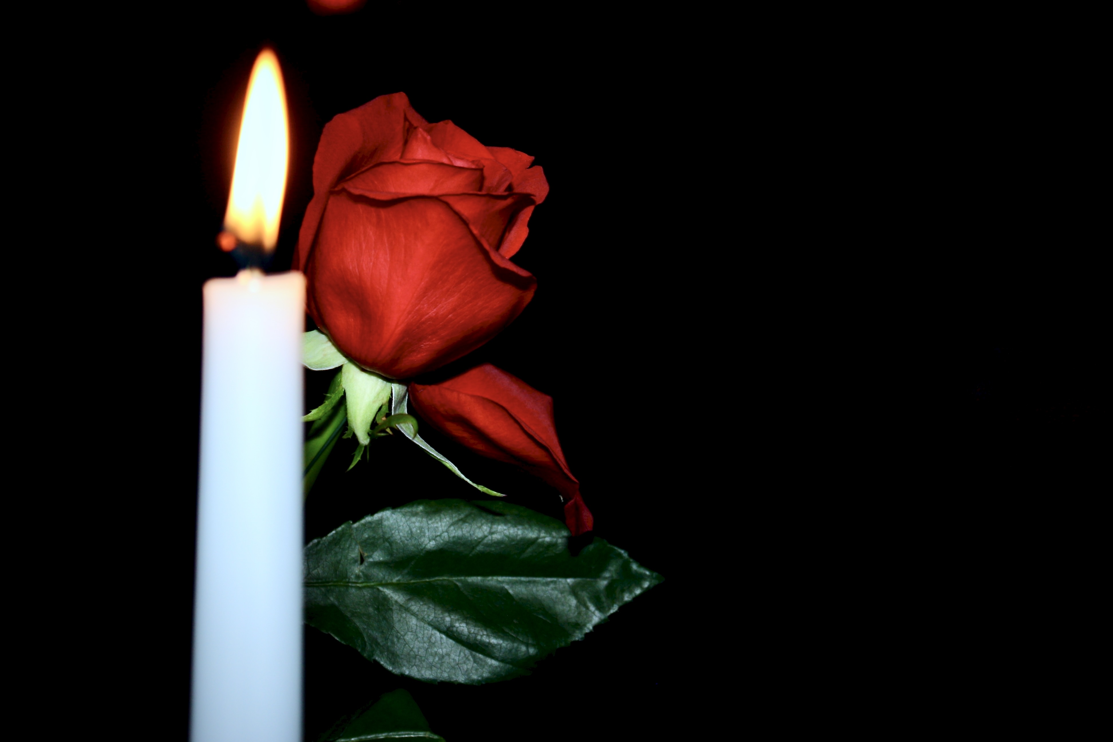 Single red rose beside a lit candle against a black background